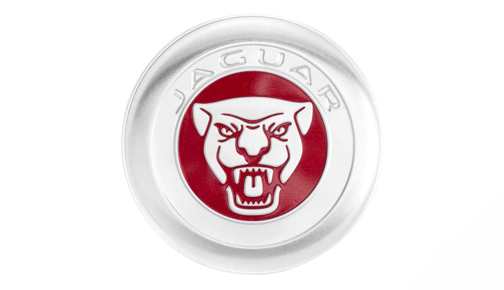 Shop Jaguar Growler Paperclips And Tin in KSA